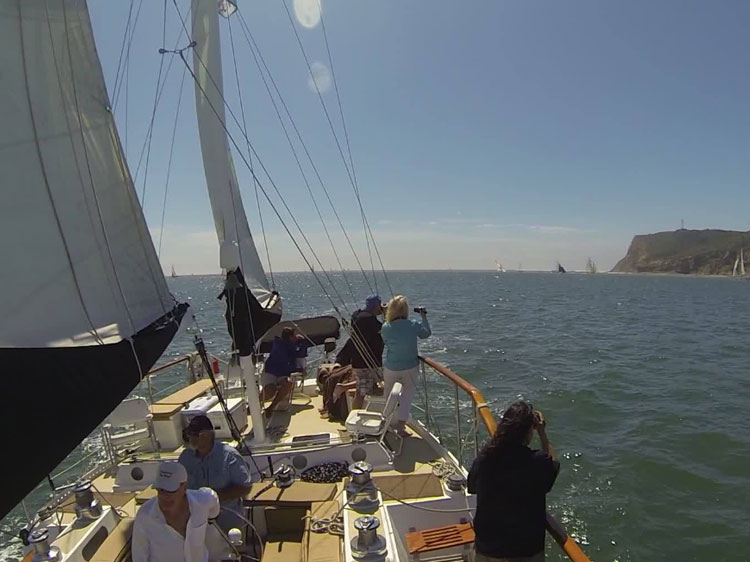 pacifica sailing charters and boat charters pacifica sailing charters and boat charters