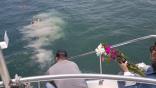 images/burial-at-sea-ash-scattering-services-san-diego800.jpg