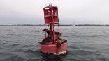 images/sea_lions_buoy_san_diego.jpg
