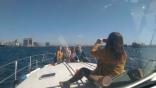 images/searay400-05.jpg
