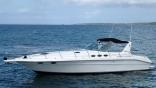images/searay400-06.jpg